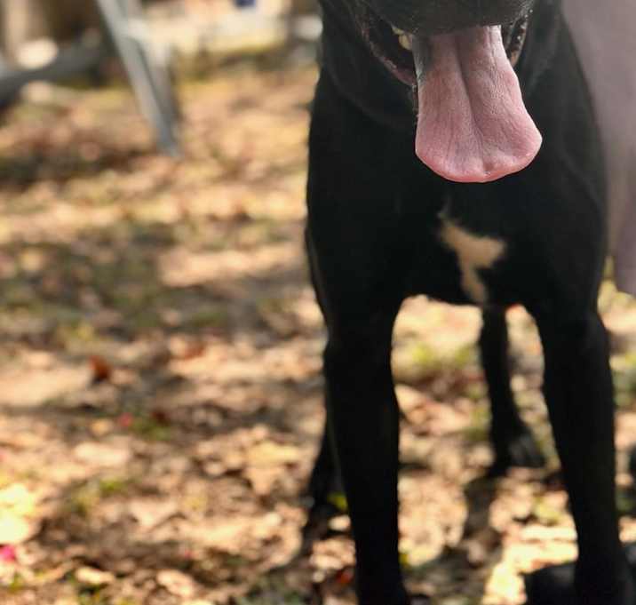 Photo of Oscar
