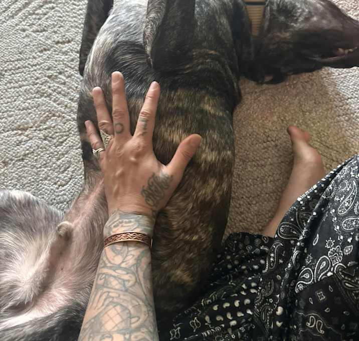 Photo of Rocco