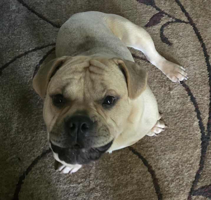Photo of Vito