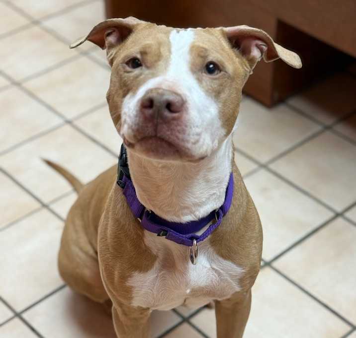 Photo of Jada