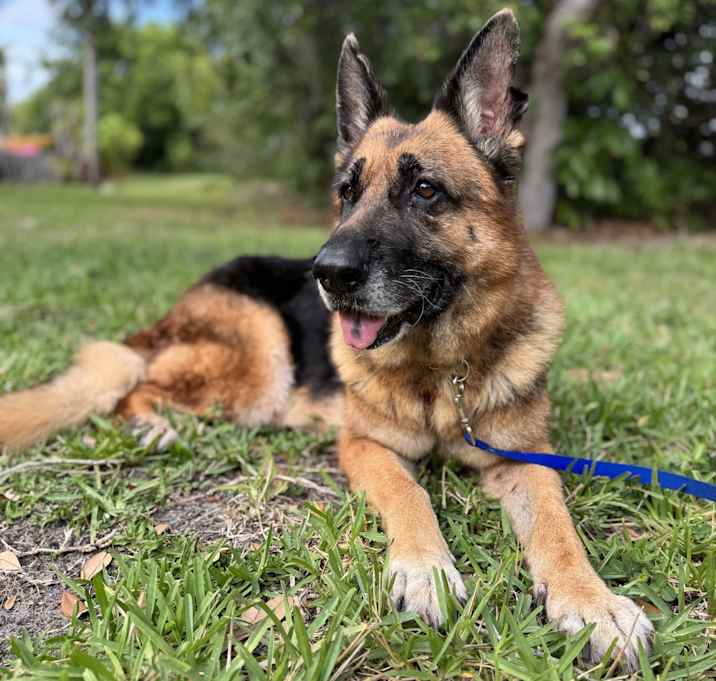 Photo of Maya