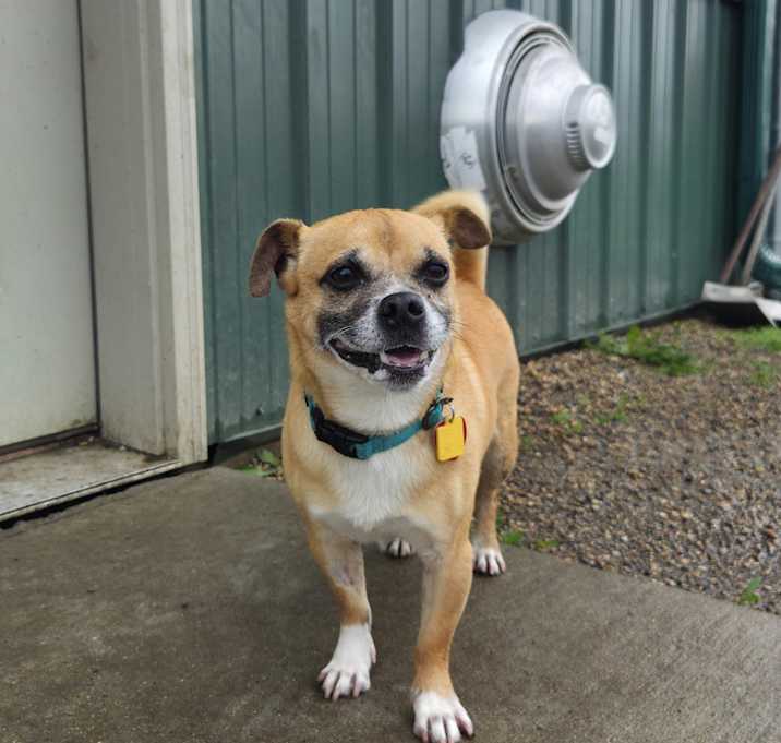 Photo of Gabe