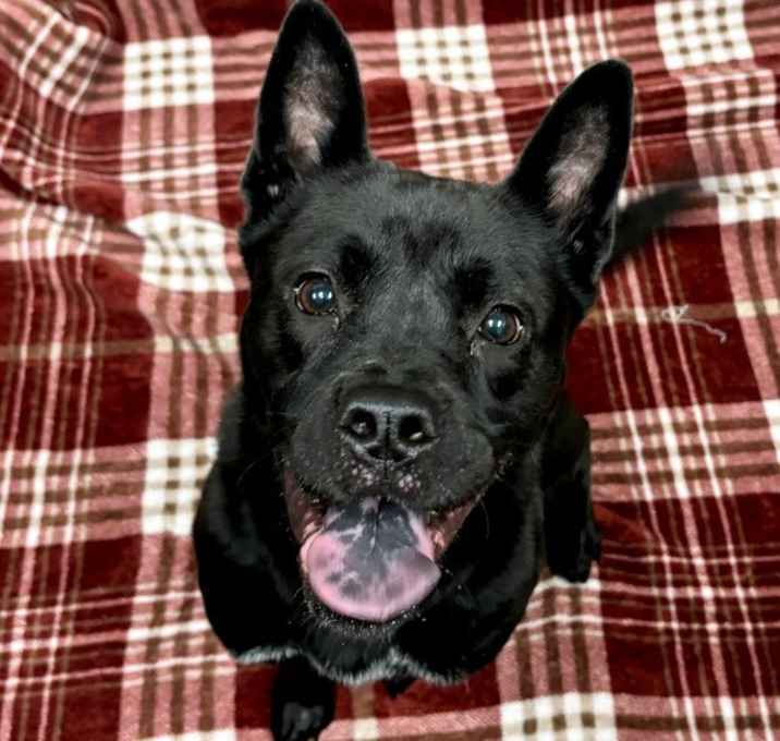 Photo of Margo