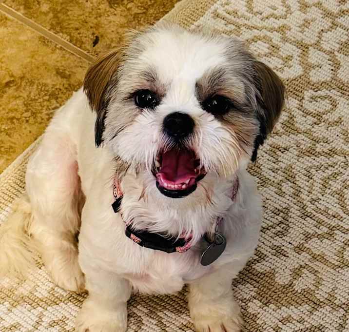 Photo of Zukie