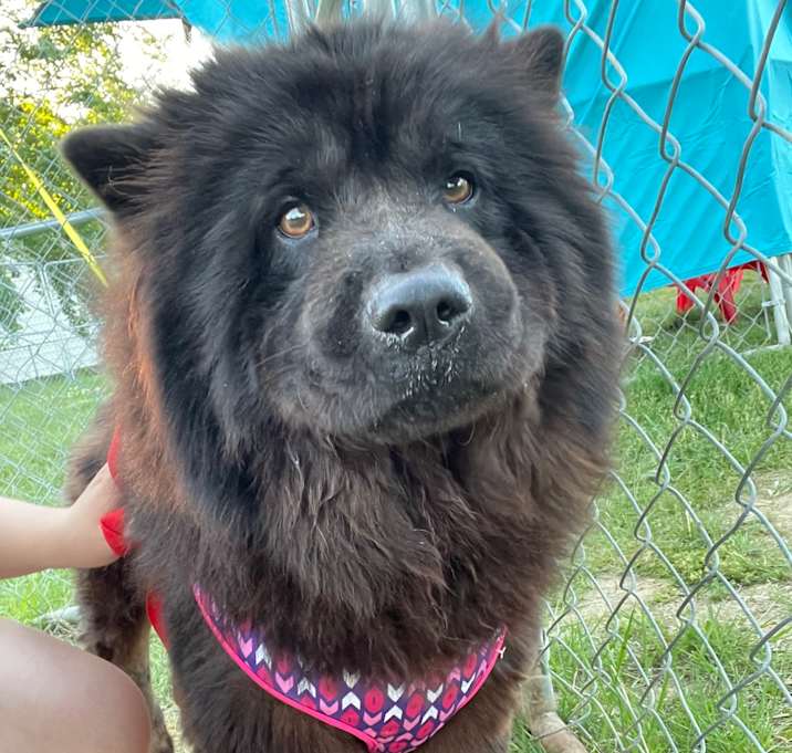 Photo of Maya
