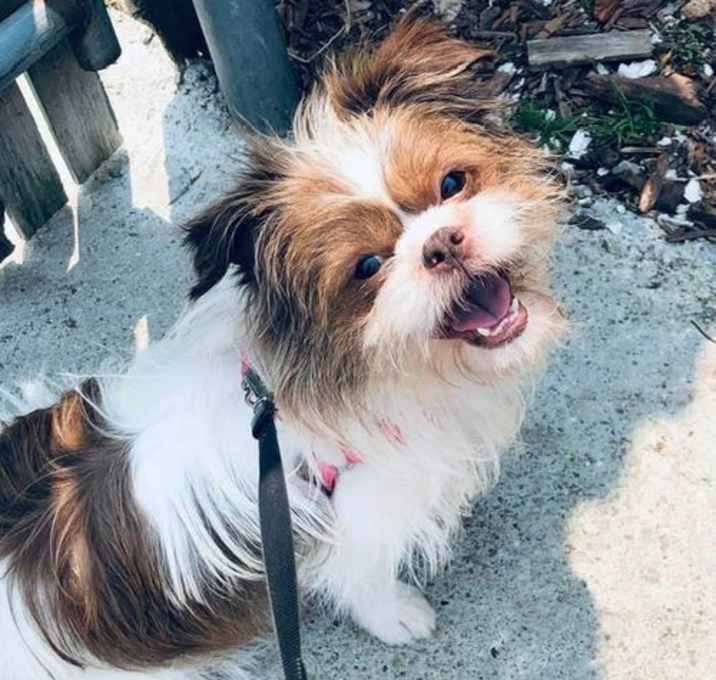 Photo of Sweet Pea Hadley