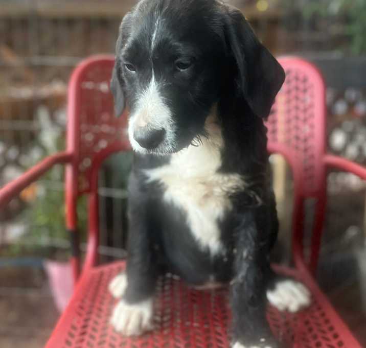 Photo of Eleanor