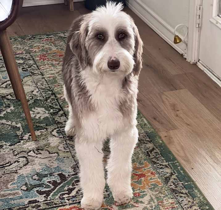 Photo of Hazel