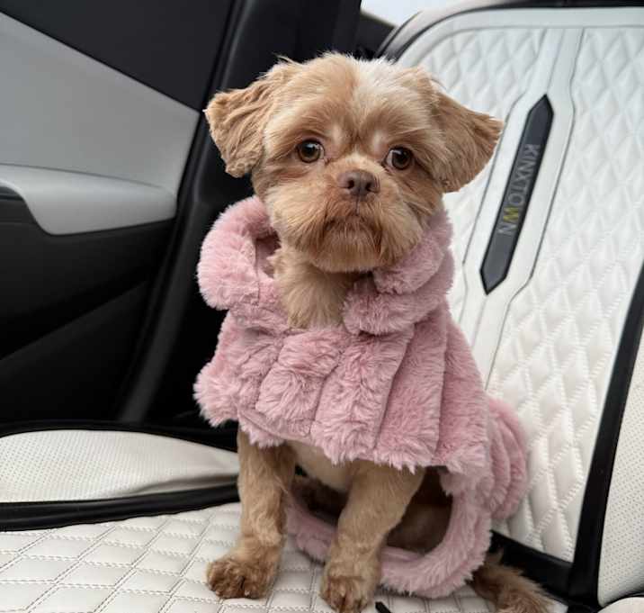 Photo of Nala