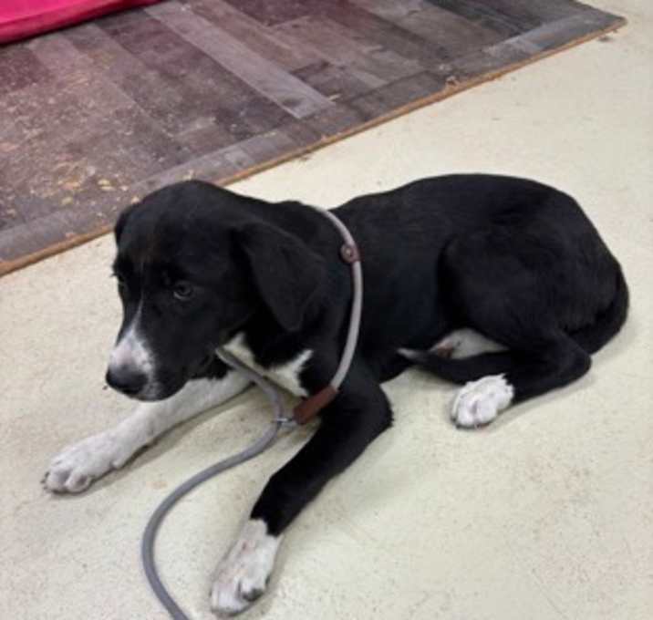 Photo of Guss K104 5/22/25