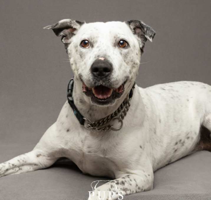 Photo of Storm