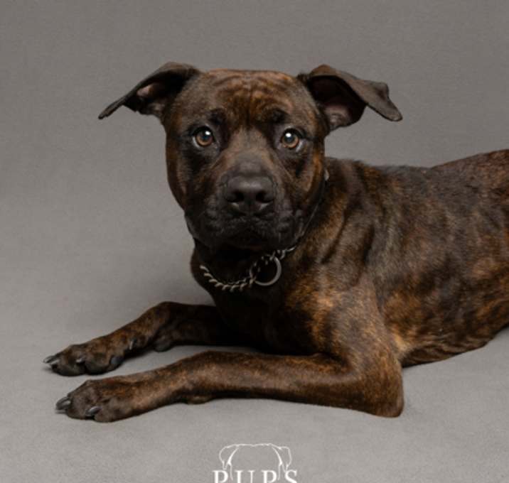 Photo of Coco