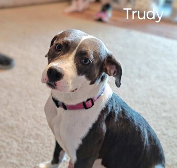 Photo of Trudy