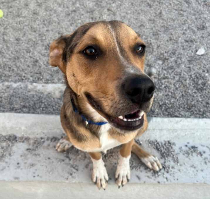 Photo of Cash