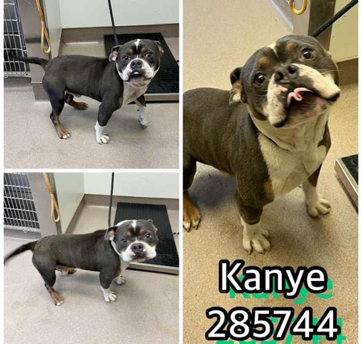 Photo of KANYE