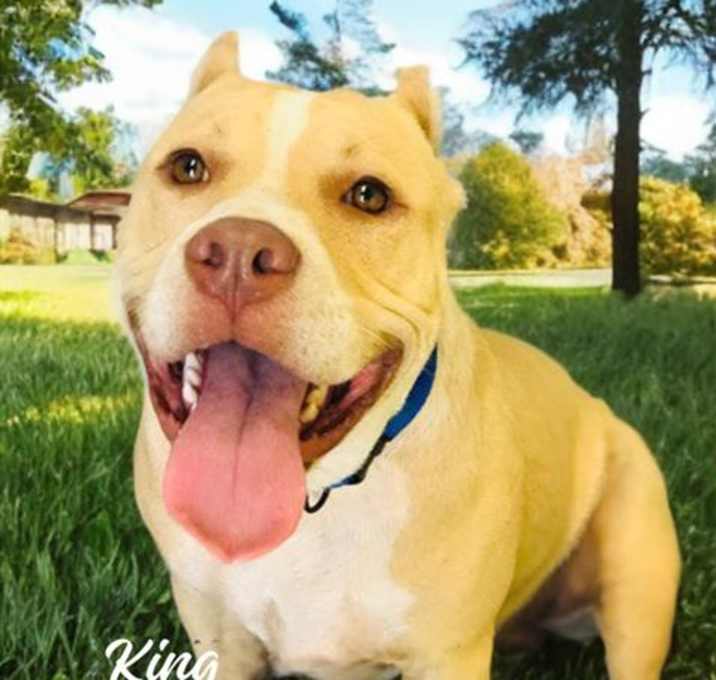 Photo of KING