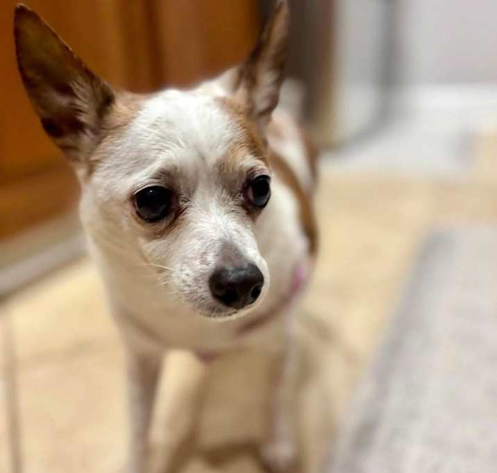 Photo of BUCKEY