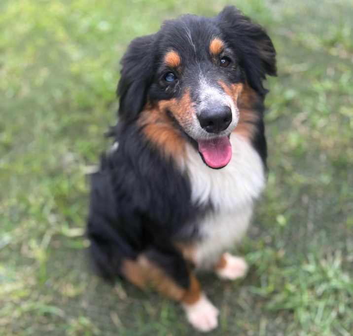 Photo of Jax