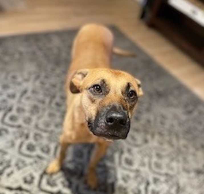 Photo of Otis