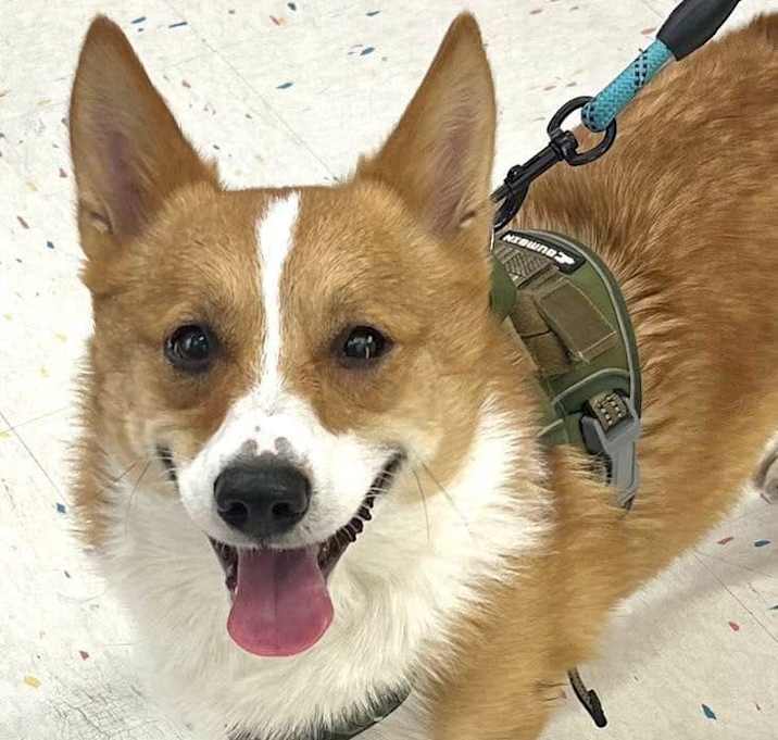 Photo of Bobbie