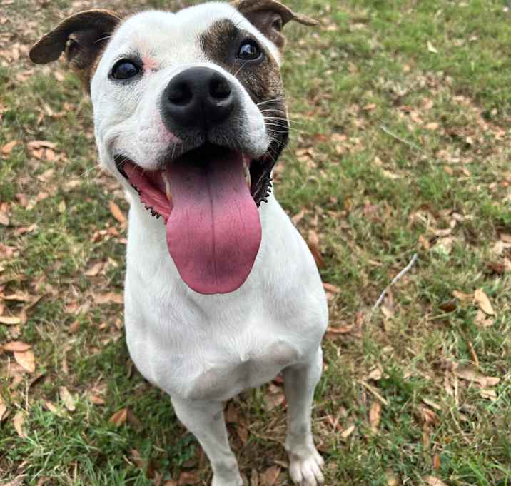 Photo of Remmy