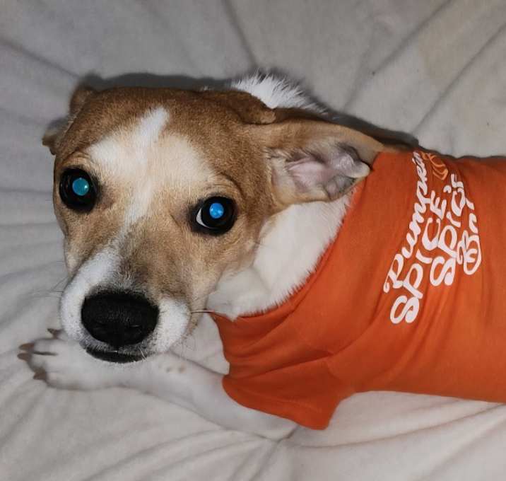Photo of Hiro