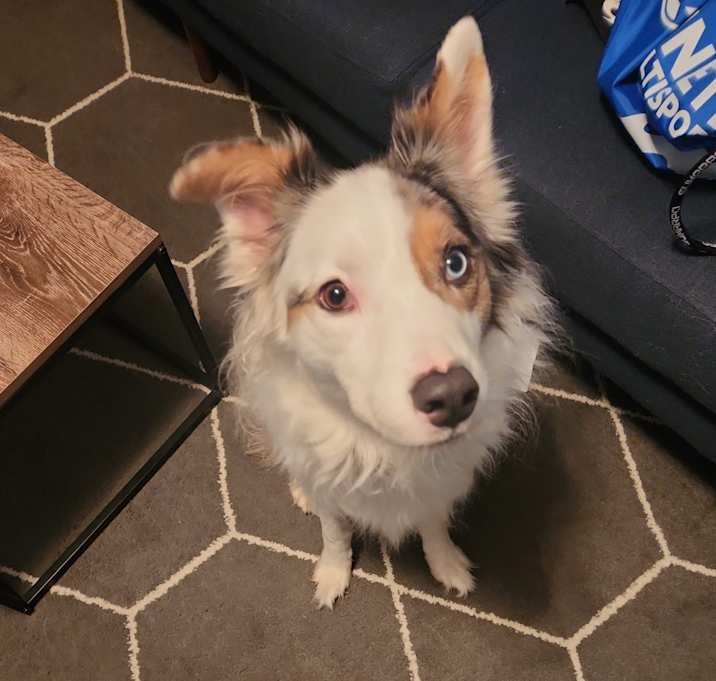 Photo of Gunnar