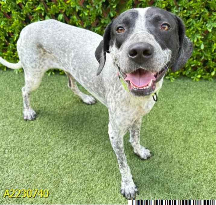 Photo of ROLO