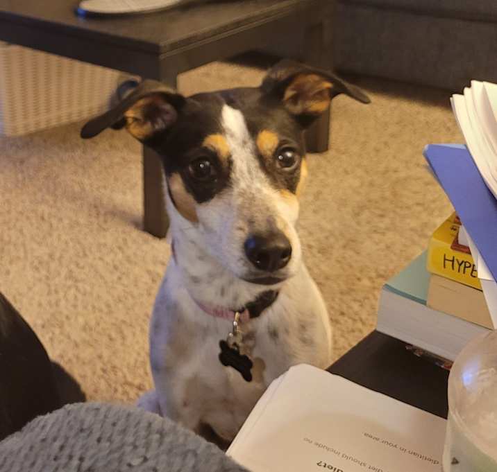 Photo of Maggie