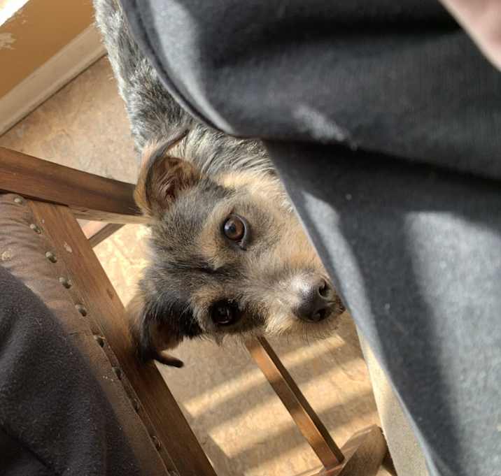 Photo of Robb Stark