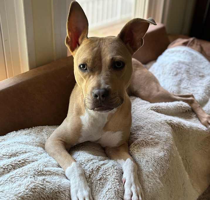 Photo of Miss Peanut 