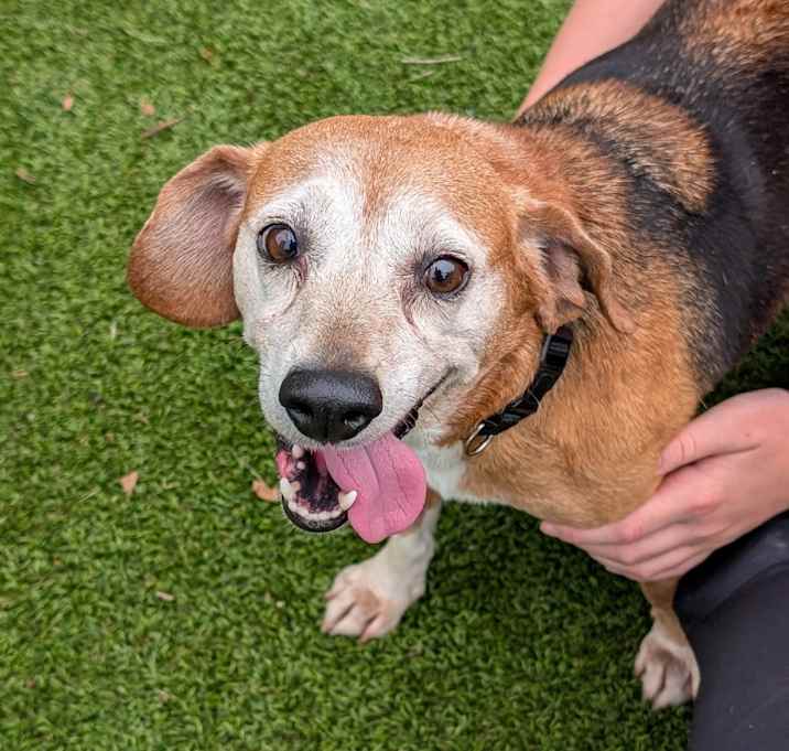 Photo of Maggie