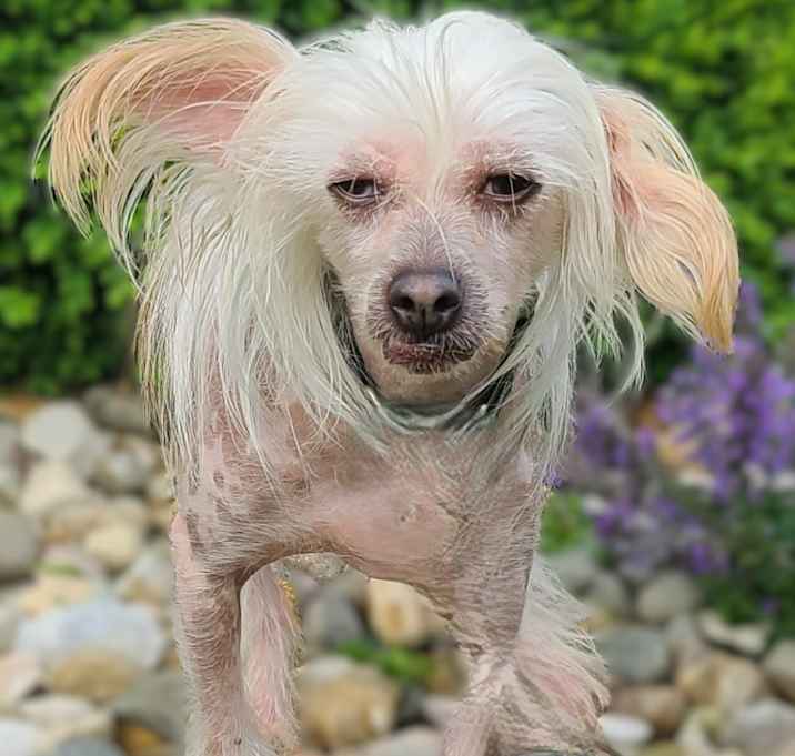 Photo of Sabrina