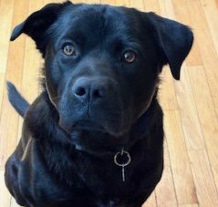 Photo of Lennox