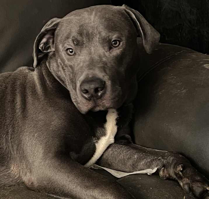 Photo of Charlie Brown