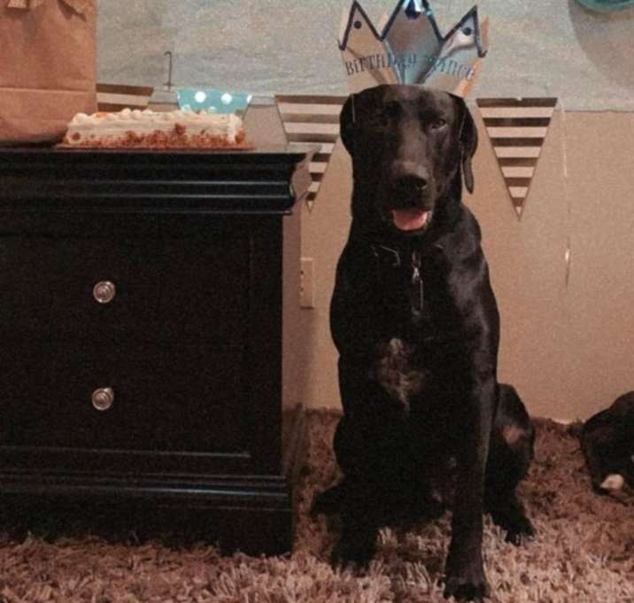 Photo of Walter