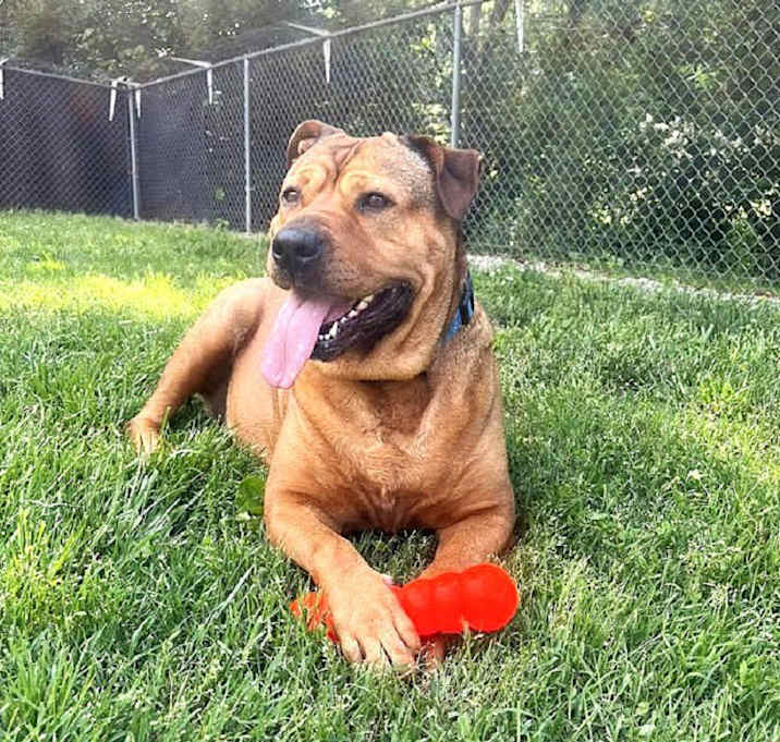 Photo of CANELA