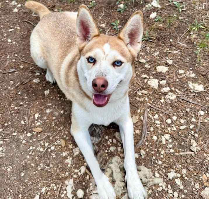 Photo of ASTRID