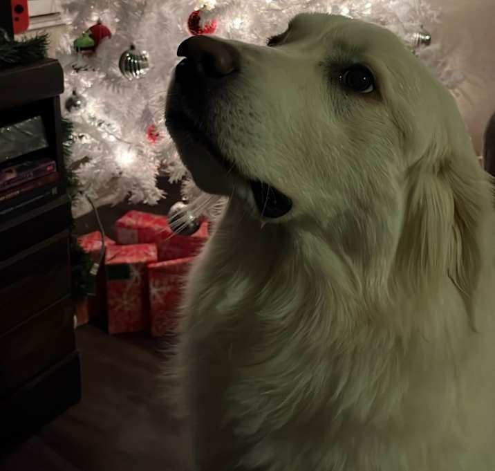 Photo of Ella