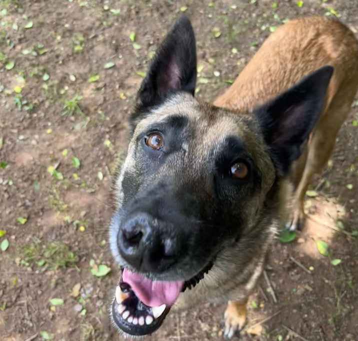 Photo of Sasha