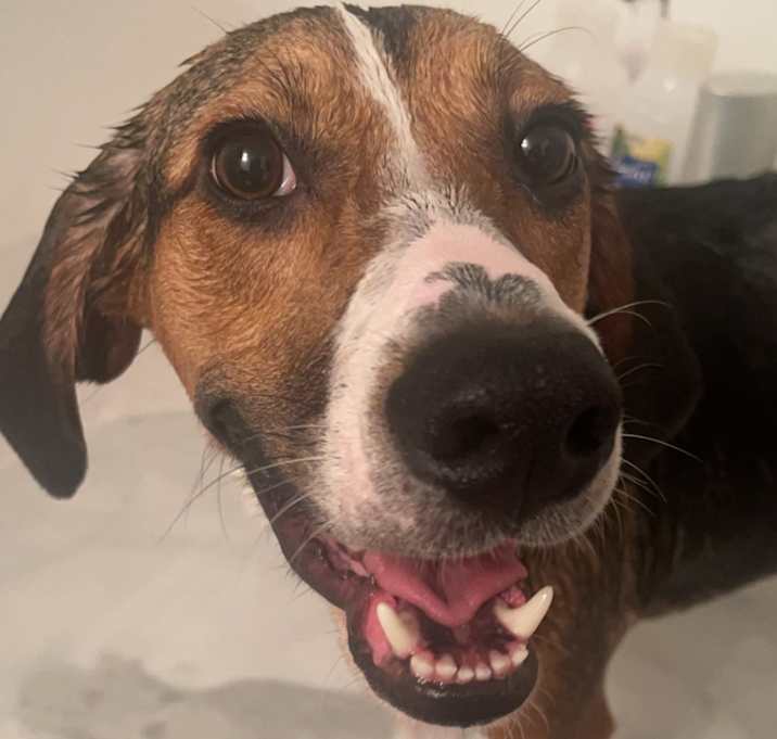Photo of Bruce