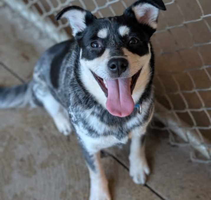Photo of Jill