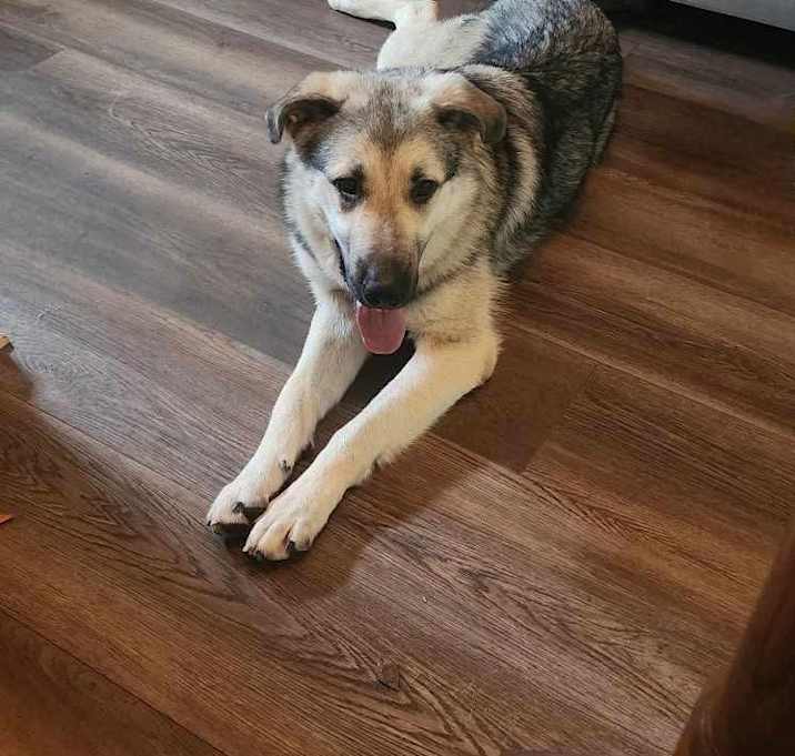 Photo of Leo