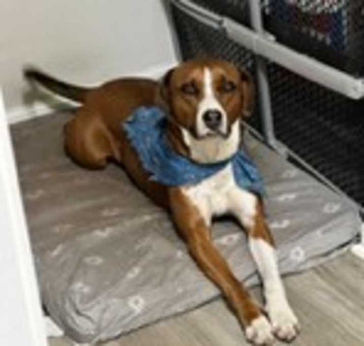 Photo of Flash