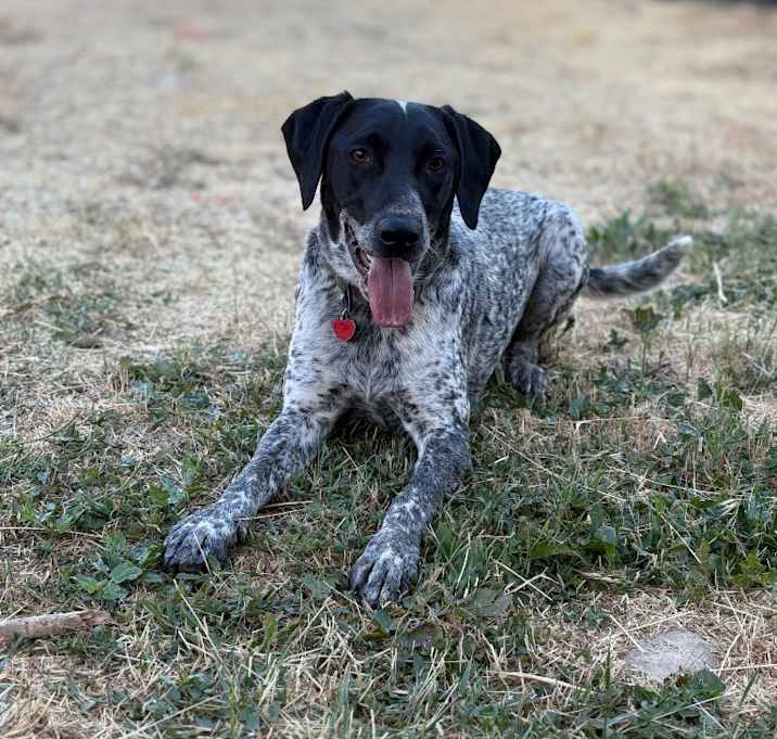 Photo of Chief