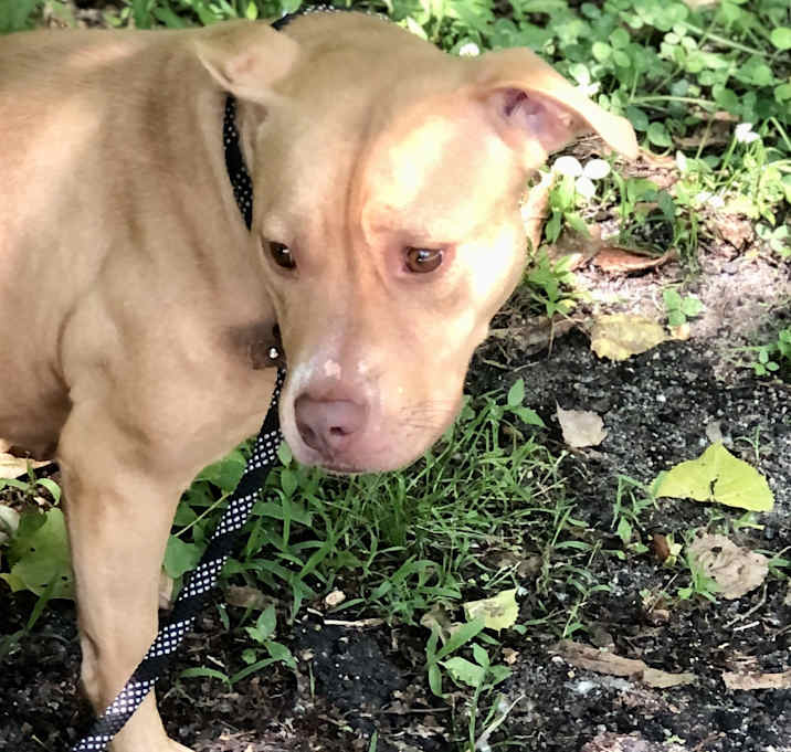 Photo of Hazel