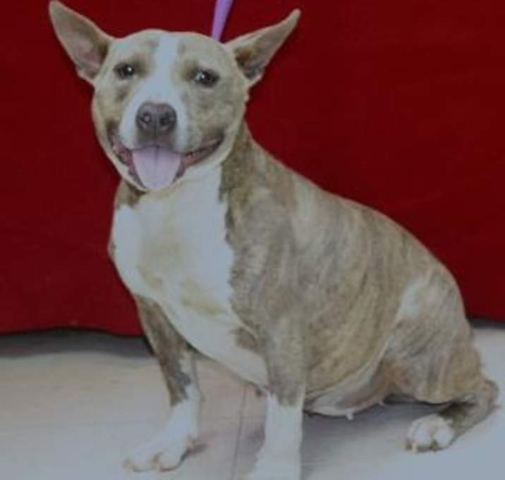 Photo of Missy