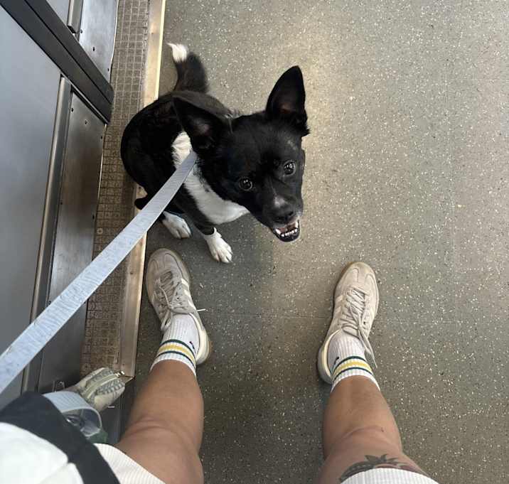 Photo of Roo