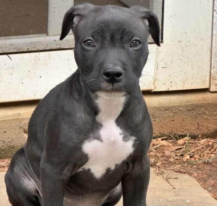 Photo of Jax