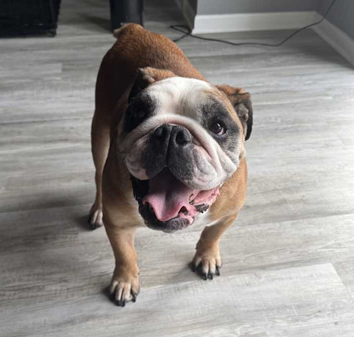 Photo of Bruce